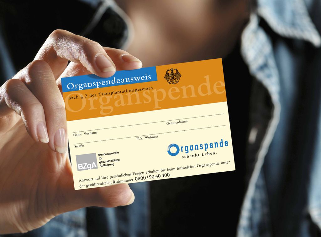Foto Obst richtig lagern