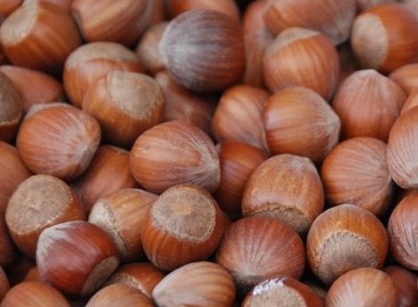 Liefert Magnesium: Haselnuss