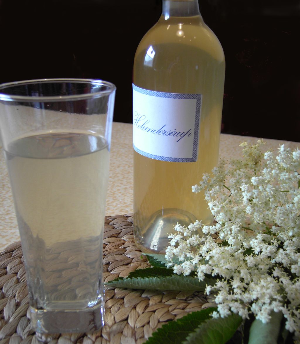 Rezept für Holunderblütensirup - Apothekenblog